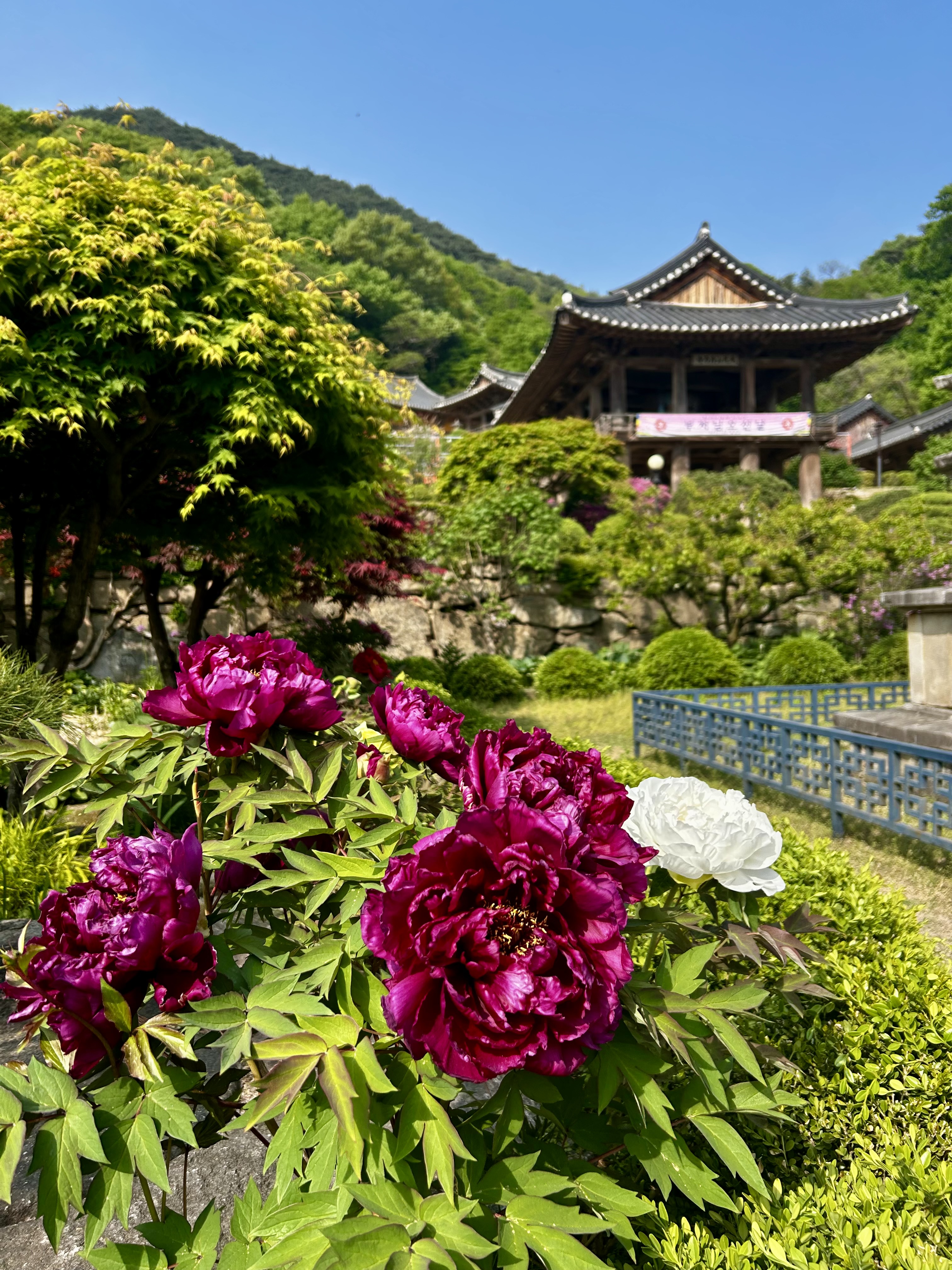 Weekend Getaway Soaked in History, Culture and Authentic Hanok Experience #sosu_seowon #BonghwaGiheonGotaek