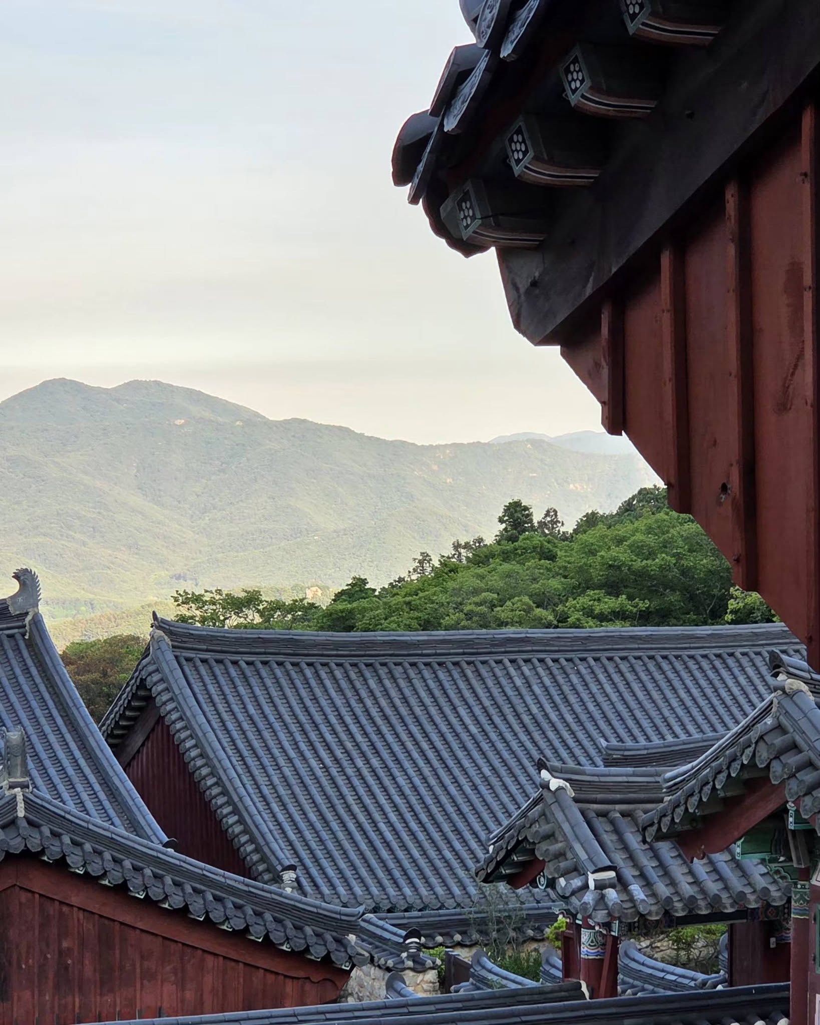 review Images
