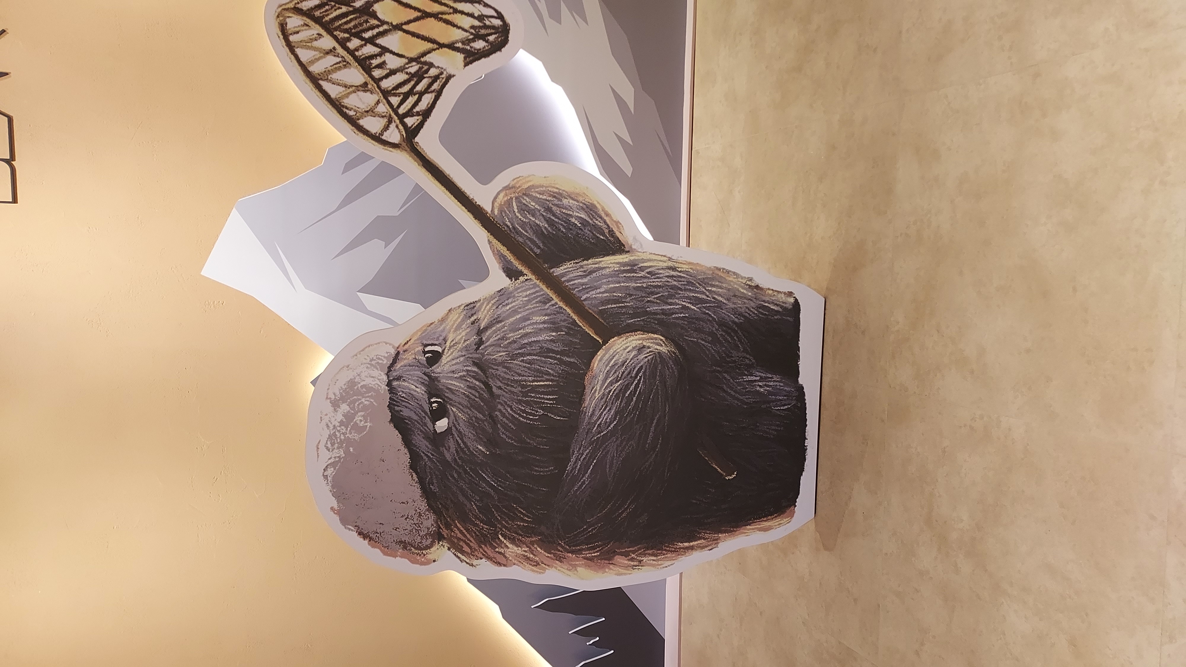 review Images