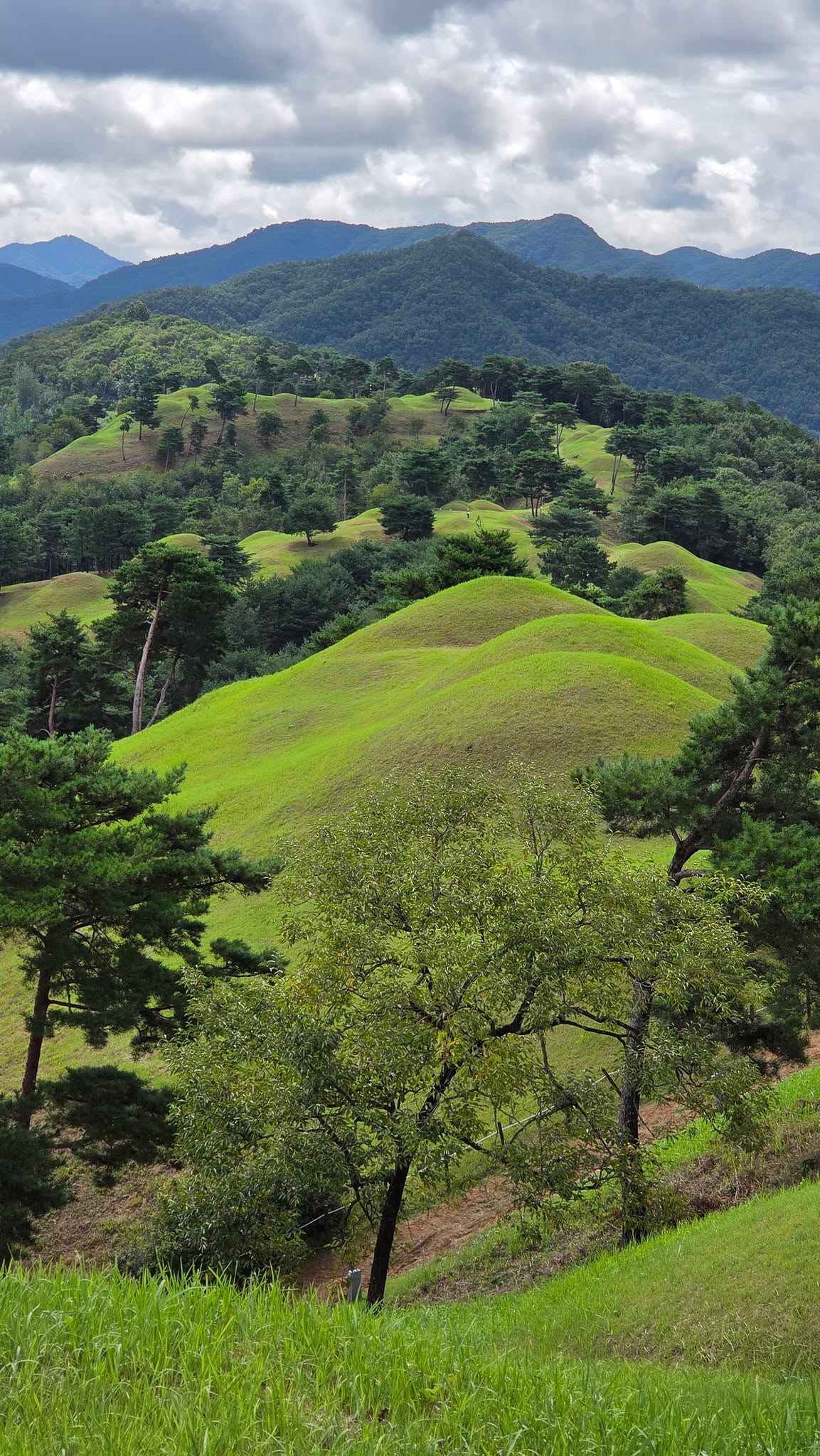 Gaya Tumuli 