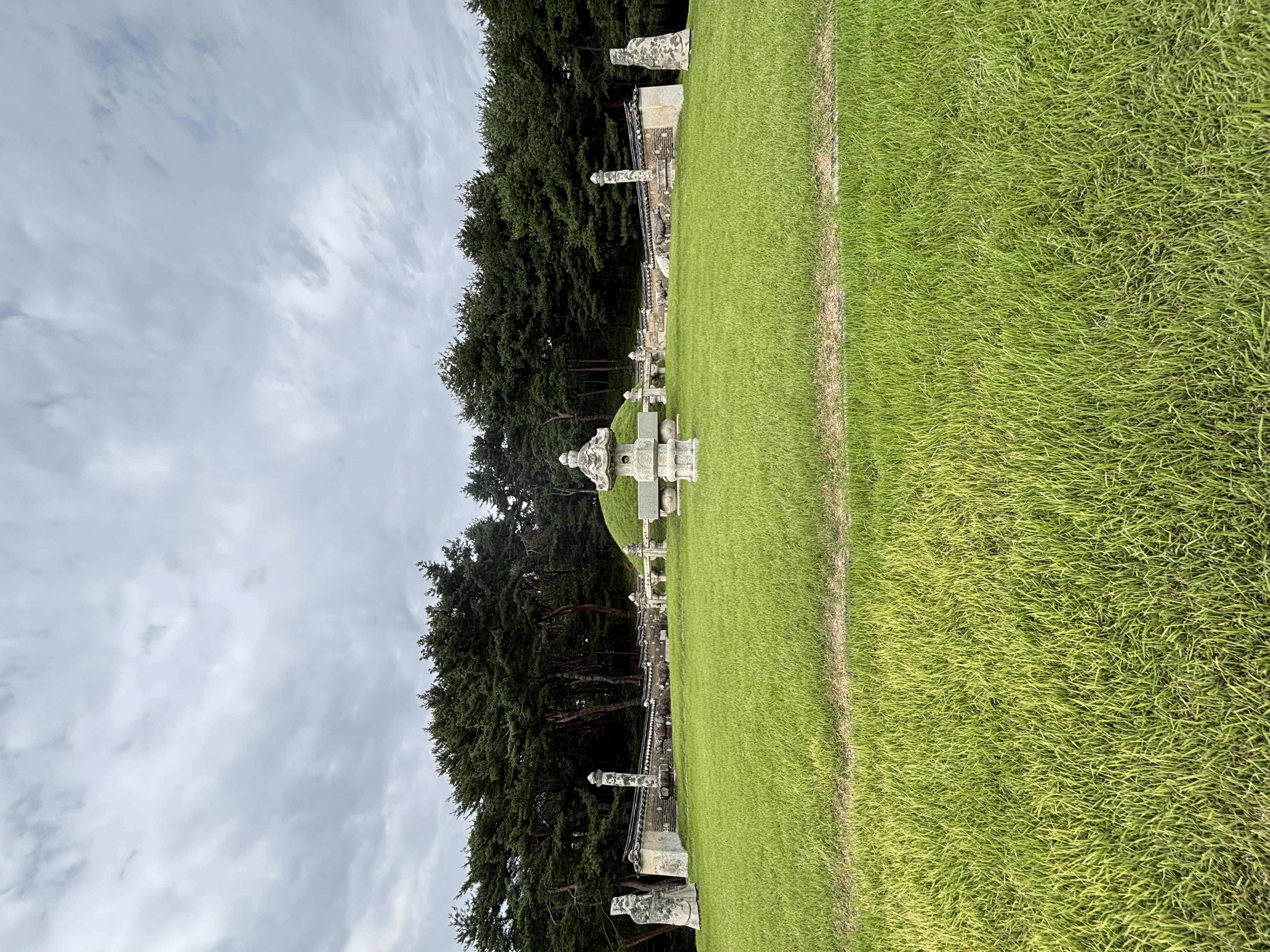 review Images